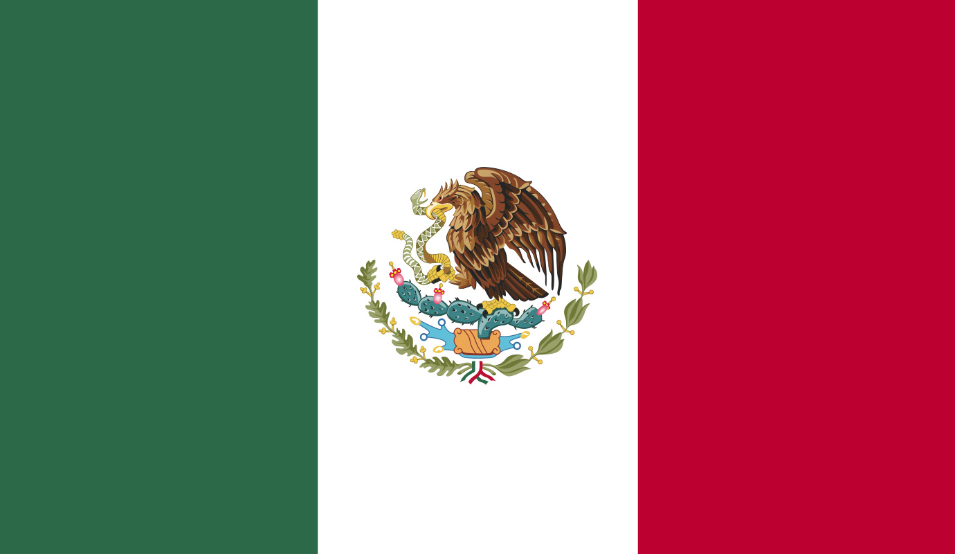Customer Intelligence Inc - Mexico Success Case
